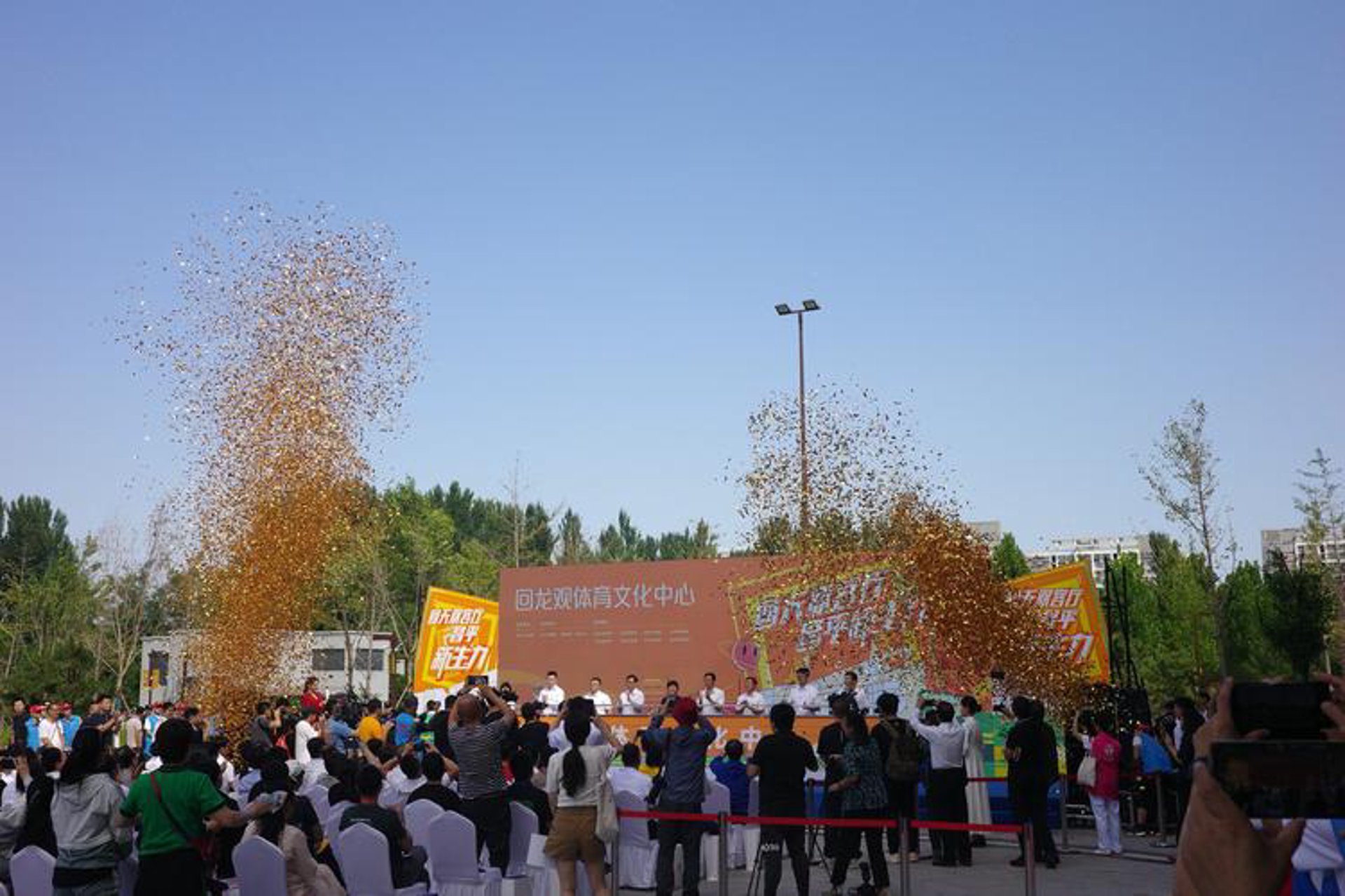 绿十字文化